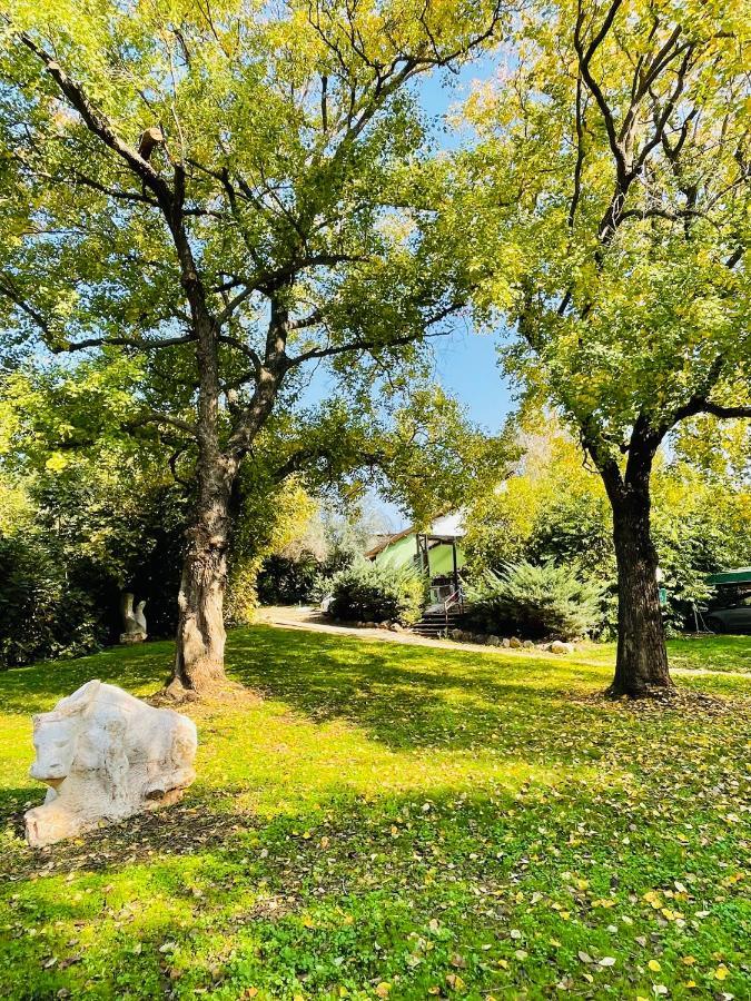 פופה אירוח צפוני - Pupa - North Hospitality Daire Hagoshrim Dış mekan fotoğraf